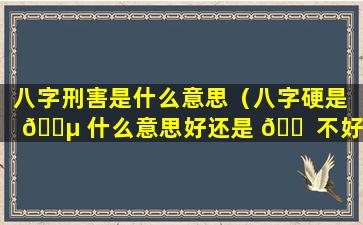 八字刑害是什么意思（八字硬是 🐵 什么意思好还是 🐠 不好）